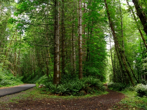 Horseshoe Valley Trail Map