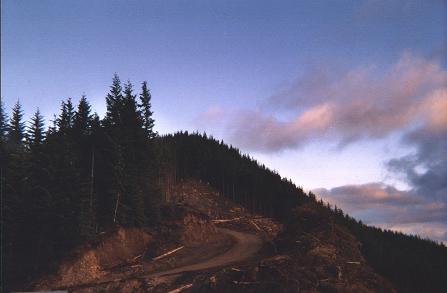 Rogers Peak at sunset